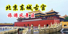 操biaaa中国北京-东城古宫旅游风景区